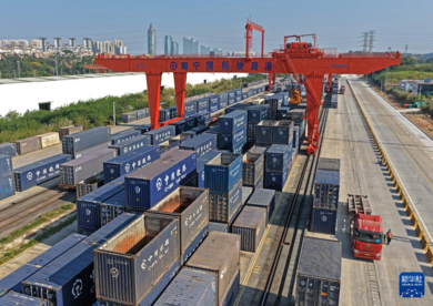 2025年西部陆海新通道集装箱货物年发运量首次突破百万标箱