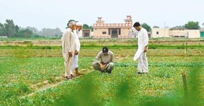 中巴经济走廊升级正当时