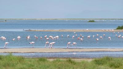 探访肯尼亚安博塞利国家公园