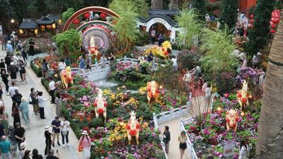 通讯丨新加坡花园里的江南春色