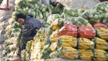 Economy&Life | NW China's Xinjiang ensures vegetable, fruit supply amid cold wave