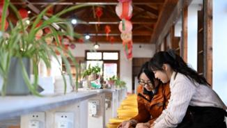 Cultural tourism thrives at Lingjiatan relics site in China's Anhui