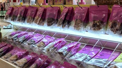 宁波宠物装火到海外，“铲屎官”的钱都花这儿了