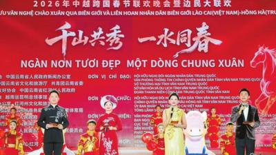 中越跨国春节联欢晚会举行