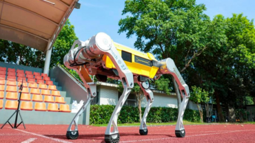 Chinese universities rise rapidly in global research output, says Dutch researcher