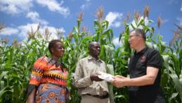 Feature: From drought to hope: China-Zimbabwe agricultural cooperation revitalizes rural village