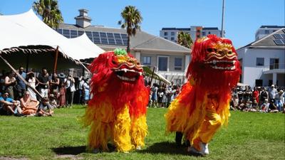 通讯｜开普敦春节庙会绽放中非文化交融之美