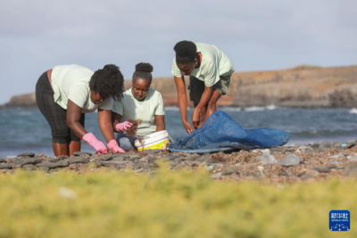 海藻变肥料：佛得角妇女的农业新实践