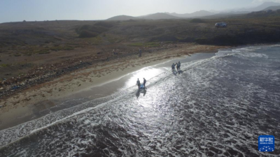 海藻变肥料：佛得角妇女的农业新实践