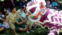 Feature: Chinese New Year infuses Latin America with festive cheer