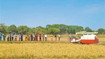 “我们找到了一条通往富裕的道路”