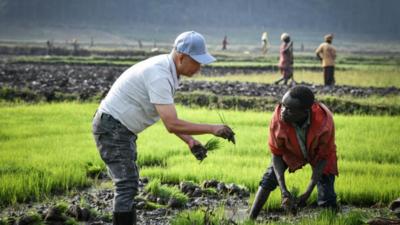 特稿丨中国技术助力全球南方国家农业发展