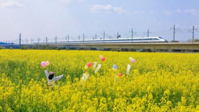 两会特稿丨“让绿色发展真正惠及世界每个地方”——中国携手世界共绘可持续发展新蓝图