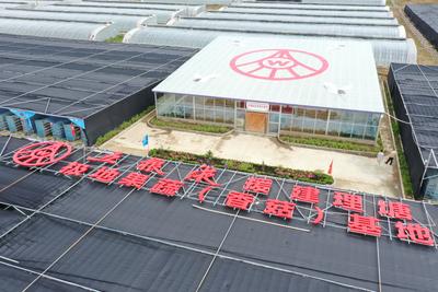 助力区域协同发展 五粮液集团援藏赋能 共建甘孜文旅新标杆