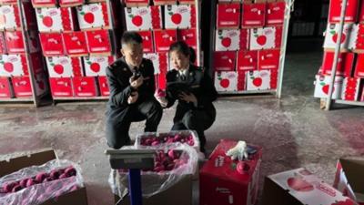 甘肃陇南前两月对东盟出口值同比增10倍