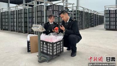 甘肃前两月对共建“一带一路”国家出口增长56.1%