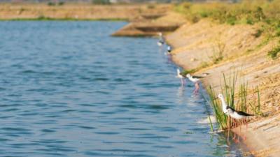 记者手记丨探访内罗毕之“肾”