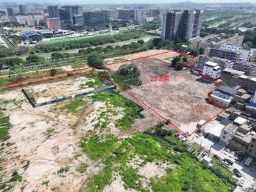 改革赋能产业服务·招商升级筑巢引凤——广州招商服务新实践