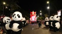 Feature: Chinese cultural elements shine at Cape Town Carnival 2026