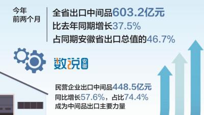 安徽：“链”接全球，拓展中间品贸易