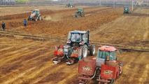 Feature: Harvesting sweetness with intelligence in south China