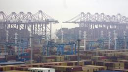 Ningbo-Zhoushan Port in east China's Zhejiang records rising container throughput