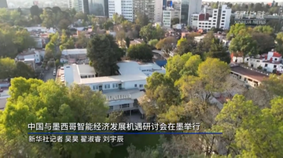 中国与墨西哥智能经济发展机遇研讨会在墨举行