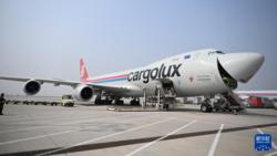 郑州：国际航空货运枢纽能级逐步提升