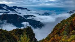 Scientists identify central China as new global biodiversity hotspot