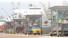 共建“一带一路”·第一现场丨马中关丹产业园“含金量”不断攀升