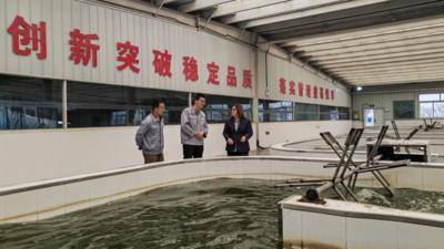 盐碱地里“挖”出大商机——马来西亚企业逐梦中国