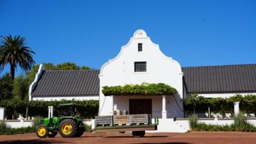 Feature: South African winery eyes growth opportunities under China's zero-tariff policy