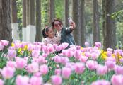 Spring holiday boosts consumption vitality on China's tourism market