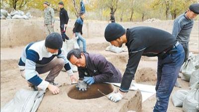 中乌联合考古，探寻丝路文明印迹