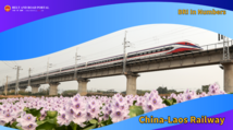 BRI In Numbers | China-Laos Railway sees robust growth in cross-border trade