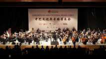 Feature: Harmonious chords -- China-Brazil Cultural Year concert bridges continents through music