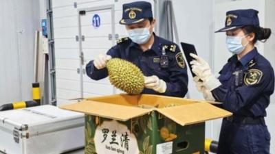 中老铁路一季度跨境贸易迎“开门红”，货值创同期新高