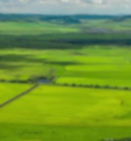 向北开放新引擎 内蒙古自贸试验区来了