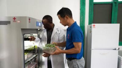 通讯丨中国农业专家助力莫桑比克农业提质增效