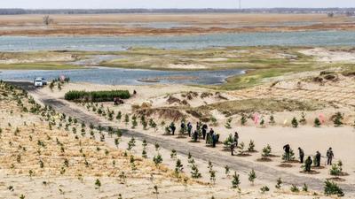 特稿丨同走人与自然和谐之路——中国携手世界守护地球家园