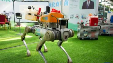 Unmanned farming highlighted at Shandong's int'l vegetable sci-tech expo