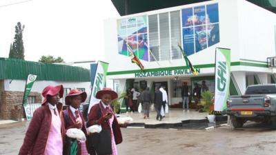 记者手记丨“零关税”成津巴布韦国际贸易博览会热词