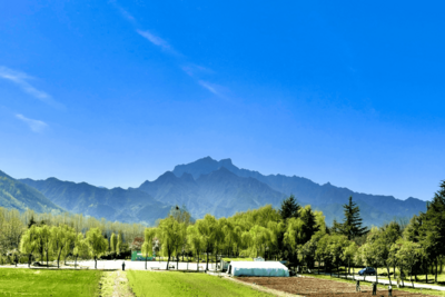 一座“唐诗田园”的现代实践