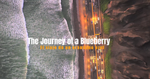 The journey of a blueberry