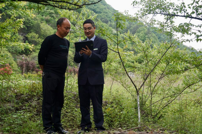 山茱萸“飞”出秦岭背后的薪火接力