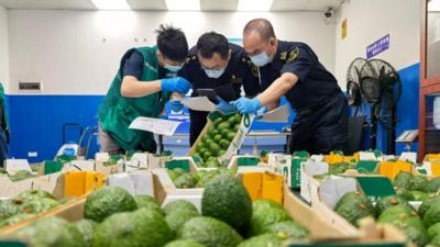 财经聚焦丨零关税助力非洲好物拥抱中国大市场