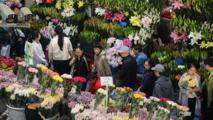 Holiday consumption market underscores new growth drivers of Chinese economy