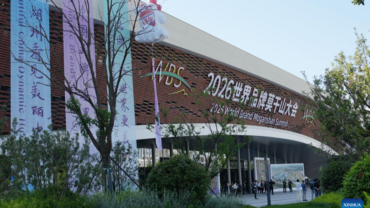 China Focus: World Brand Moganshan Summit showcases Chinese brands' global rise