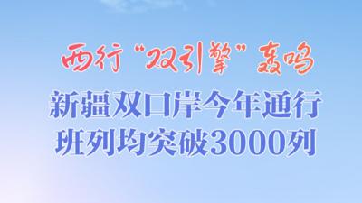 西行“双引擎”轰鸣 新疆双口岸今年通行班列均突破3000列