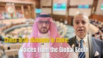 China-Arab dialogue in Cairo: Voices from the Global South